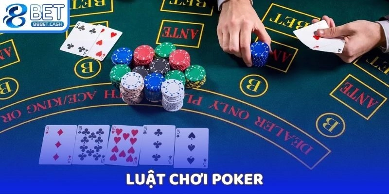 Luật và cách chơi Poker chi tiết cho người mới trải nghiệm